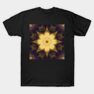 Mandalisa Kaleidoscope [textures] Pattern (Seamless) 3 T-Shirt